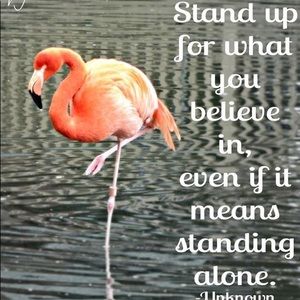 Meet your Posher, Kyra